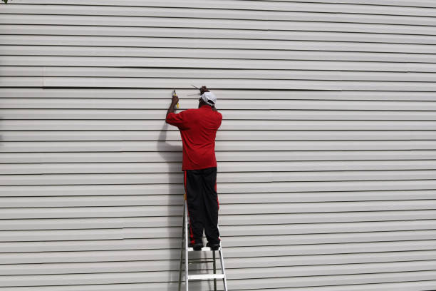 Best Aluminum Siding Installation  in Robersonville, NC