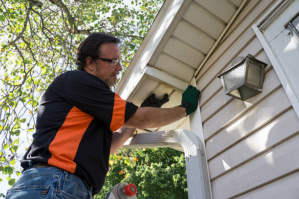 Best Steel Siding Installation  in Robersonville, NC